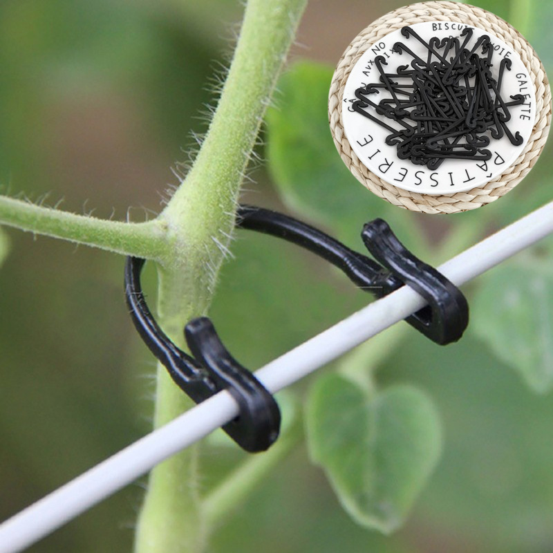 Gardening Tools For Vines - Clips de fixation pour vignes, 50