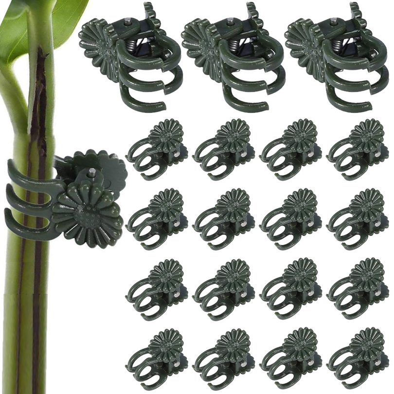 Gardening Tools For Vines - Pinces à Plantes de Vigne, Support