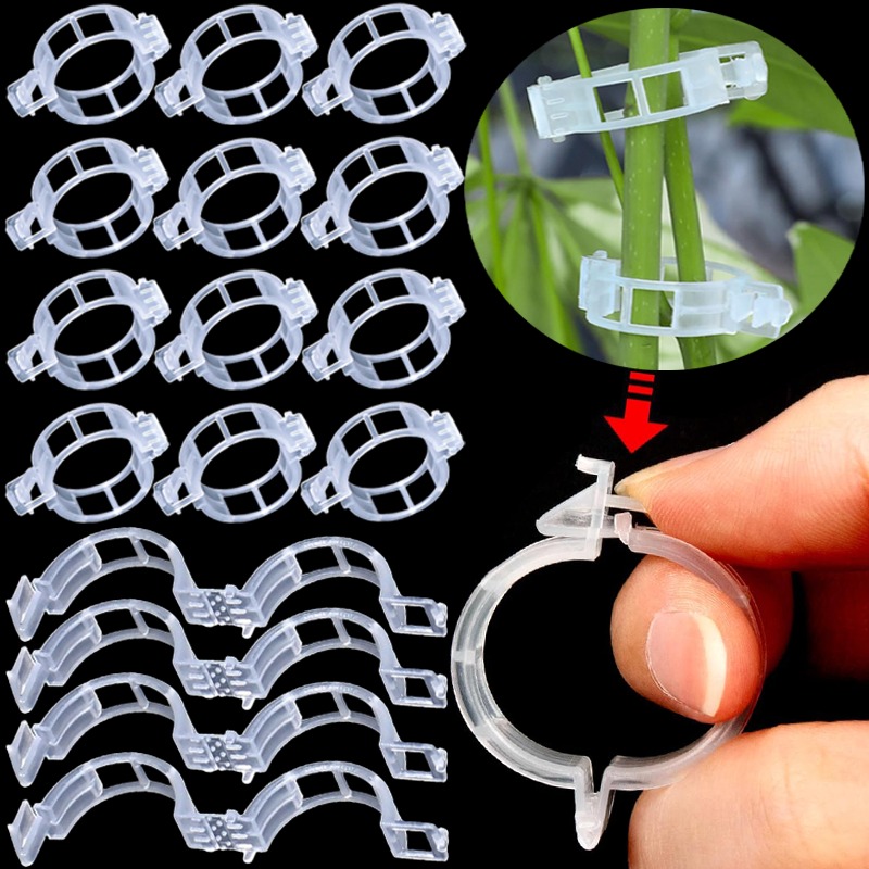 Gardening Tools For Vines - 300/50 Pièces Clips de Soutien Réutilisables