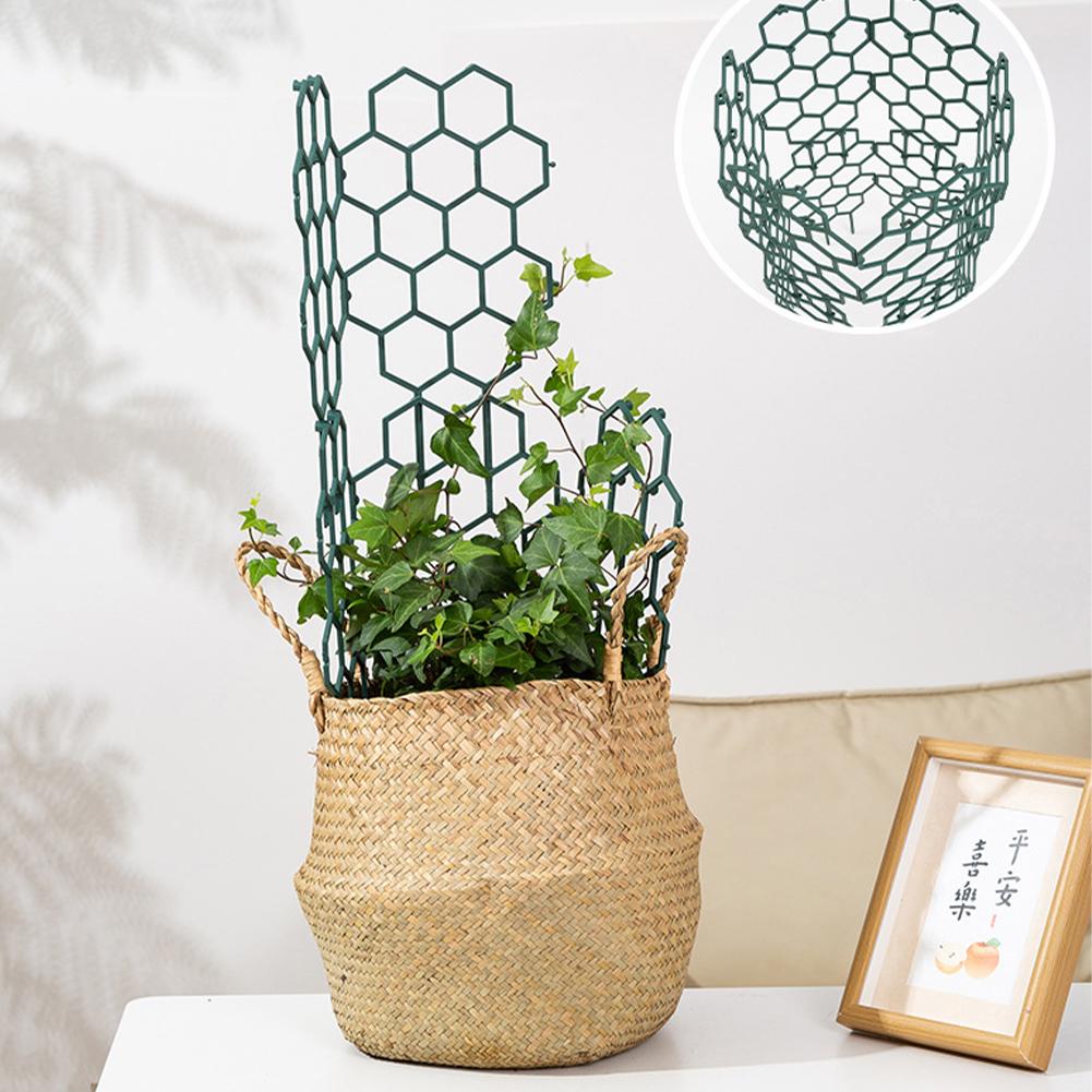 Supports de plantes en plastiq - Gardening Tools For Vines avis et prix