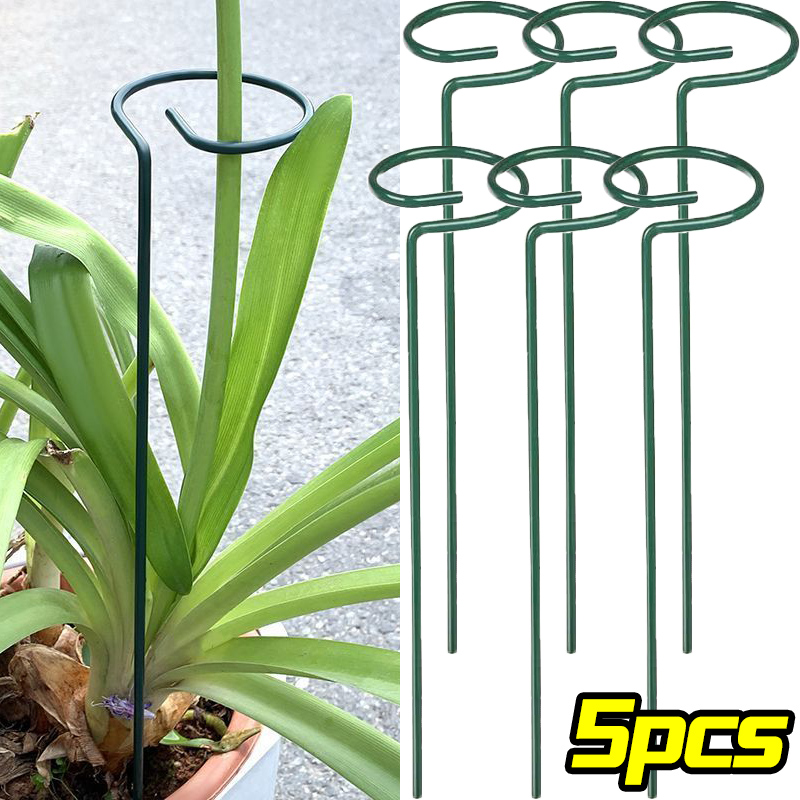 Anneau de piquet de Support de - Gardening Tools For Vines avis et prix