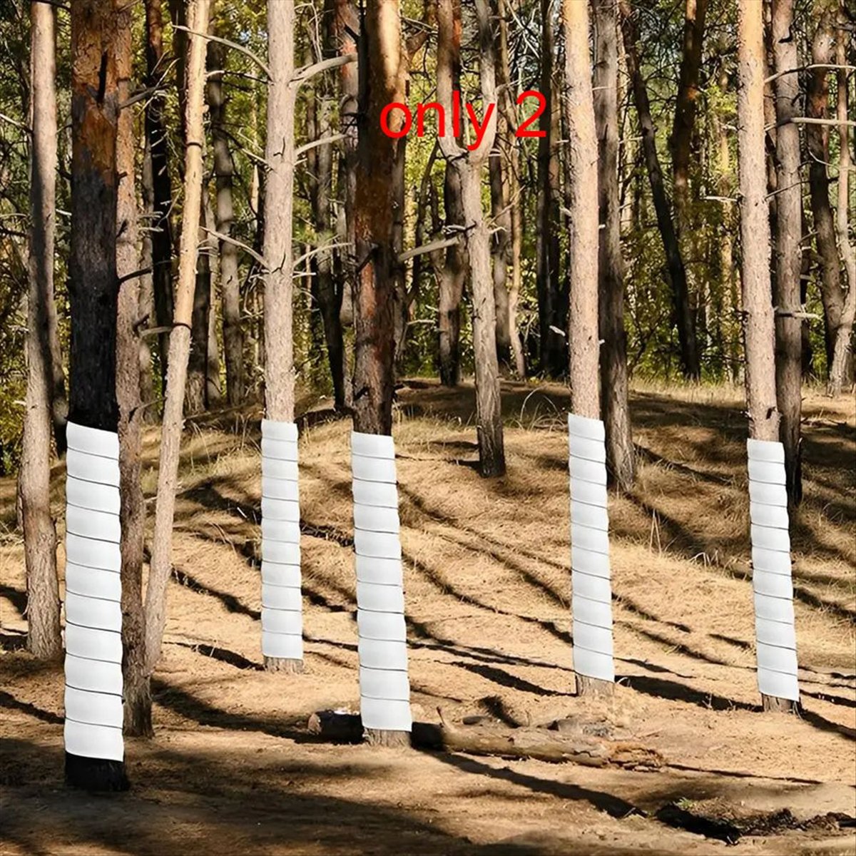 Protecteur de tronc d'arbre A7 - Gardening Tools B&Q avis et prix