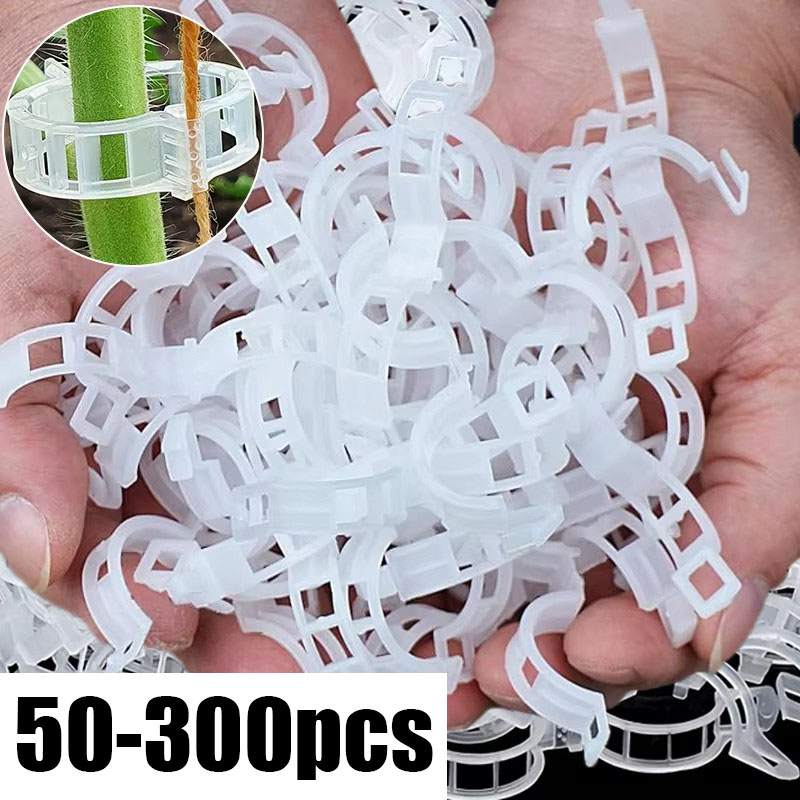 50-300 Pièces Clips de Soutien - Gardening Tools For Vines avis et prix