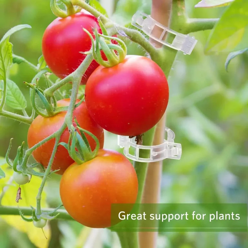 50-300 Pièces Clips de Soutien - Gardening Tools For Vines avis et prix