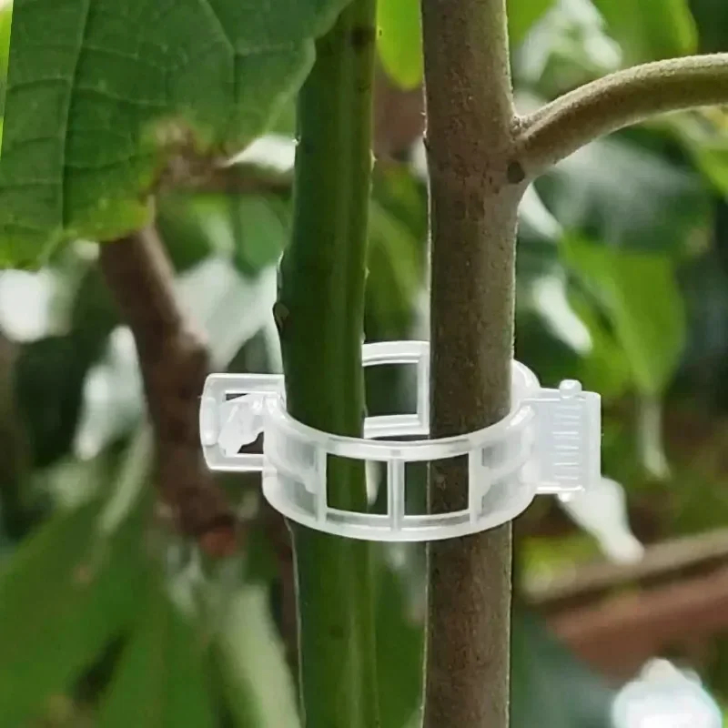 50-300 Pièces Clips de Soutien - Gardening Tools For Vines avis et prix