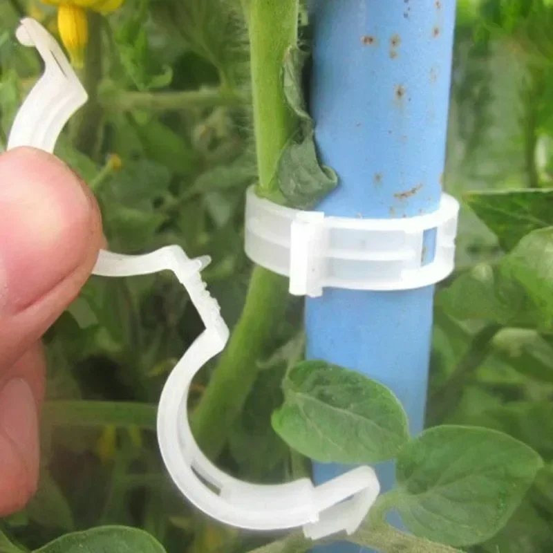 50-300 Pièces Clips de Soutien - Gardening Tools For Vines avis et prix