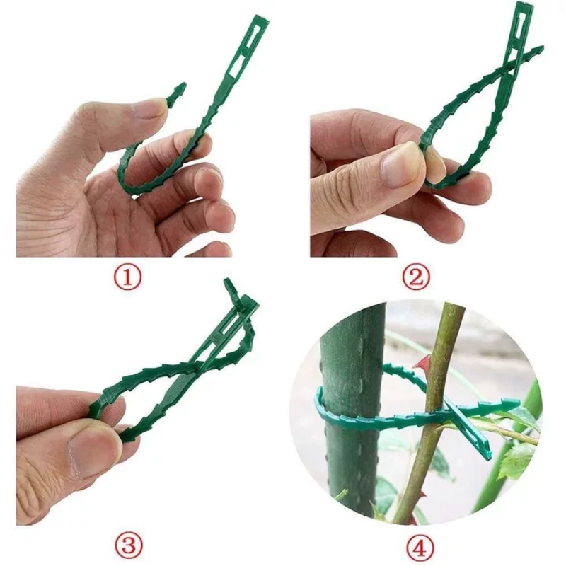 Attaches de jardin réutilisabl - Gardening Tools For Vines avis et prix