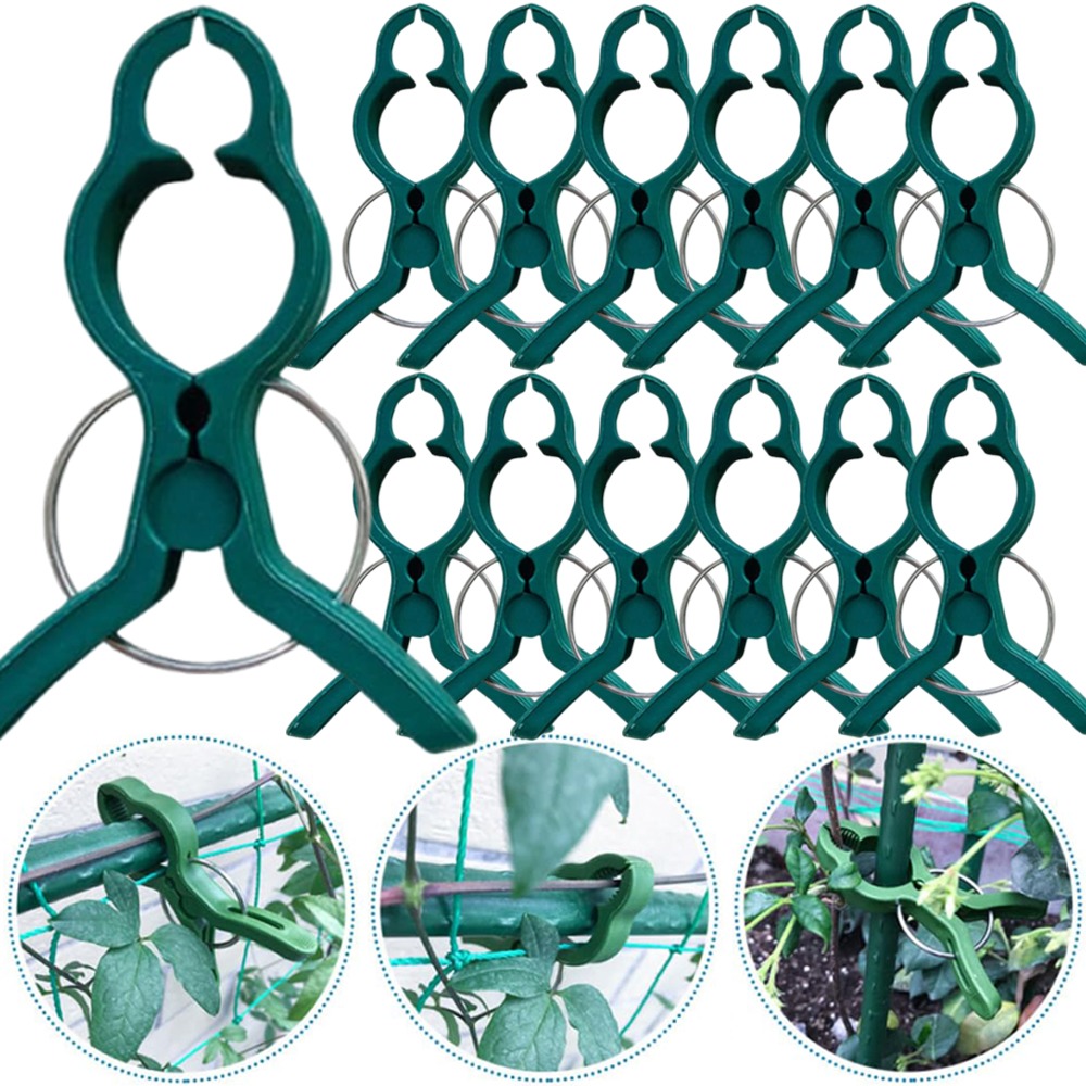 50/10 Pièces Clips de greffage - Gardening Tools For Vines avis et prix