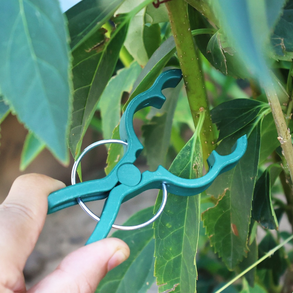 50/10 Pièces Clips de greffage - Gardening Tools For Vines avis et prix