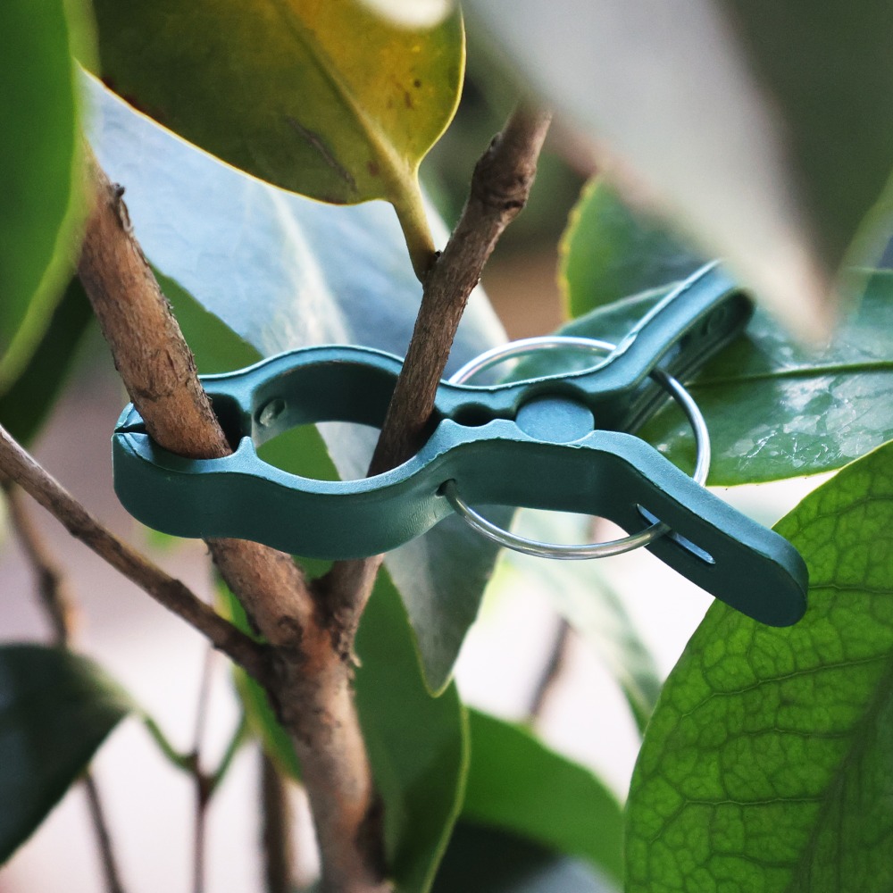 50/10 Pièces Clips de greffage - Gardening Tools For Vines avis et prix