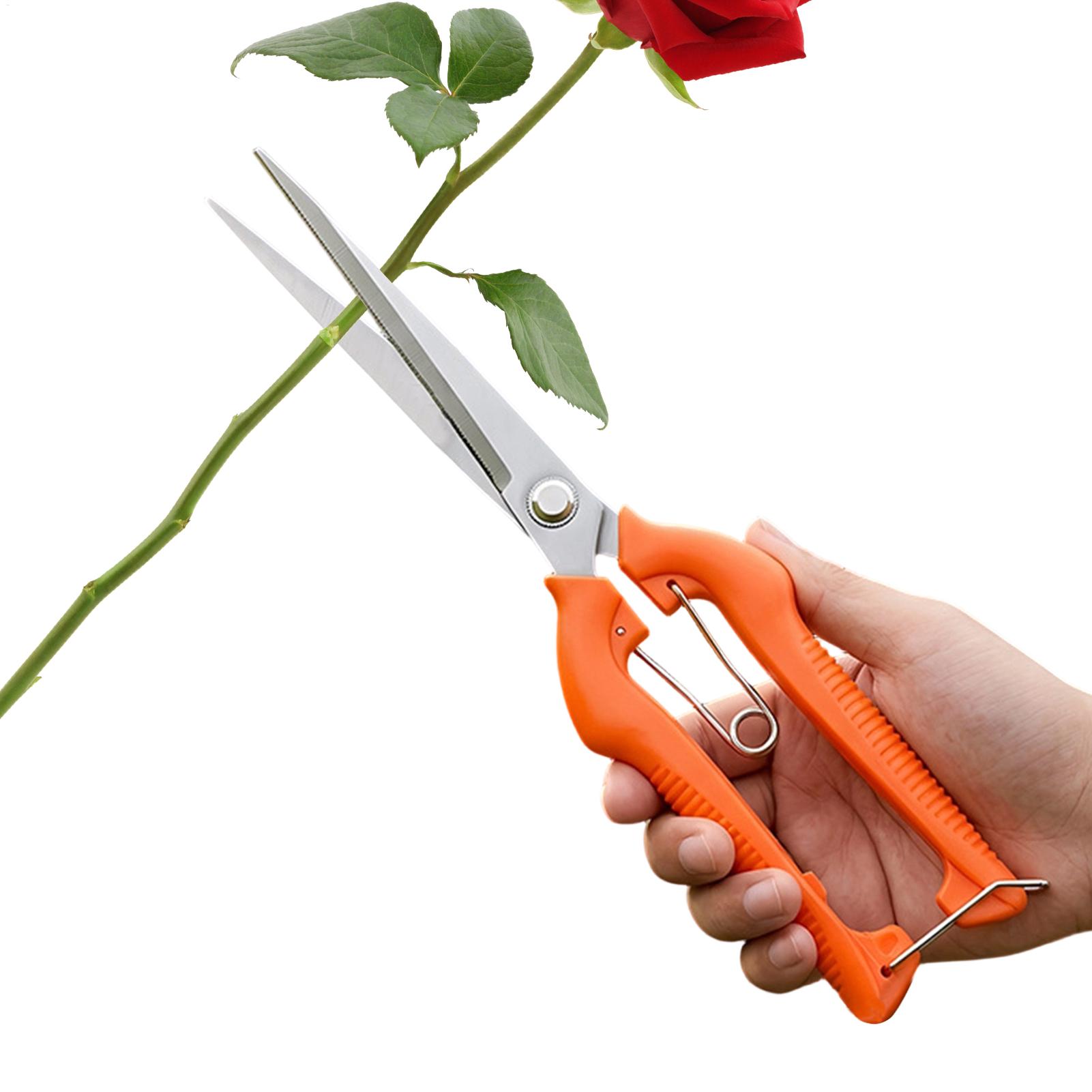 Sécateur professionnel en acie - Gardening Tools Women avis et prix