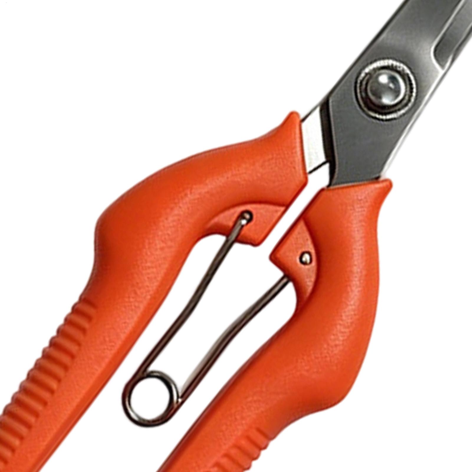 Sécateur professionnel en acie - Gardening Tools Women avis et prix