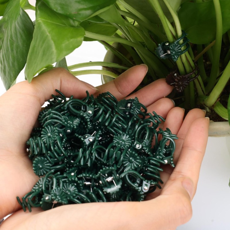 Clips de Soutien Mini en Gros  - Gardening Tools For Vines avis et prix
