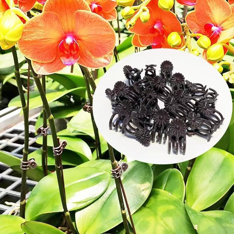 Clips de Soutien Mini en Gros  - Gardening Tools For Vines avis et prix