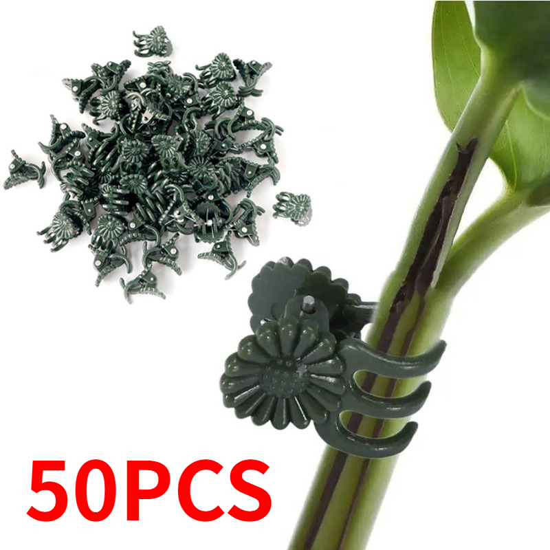 50 pinces de jardinage vert fo - Gardening Tools For Vines avis et prix
