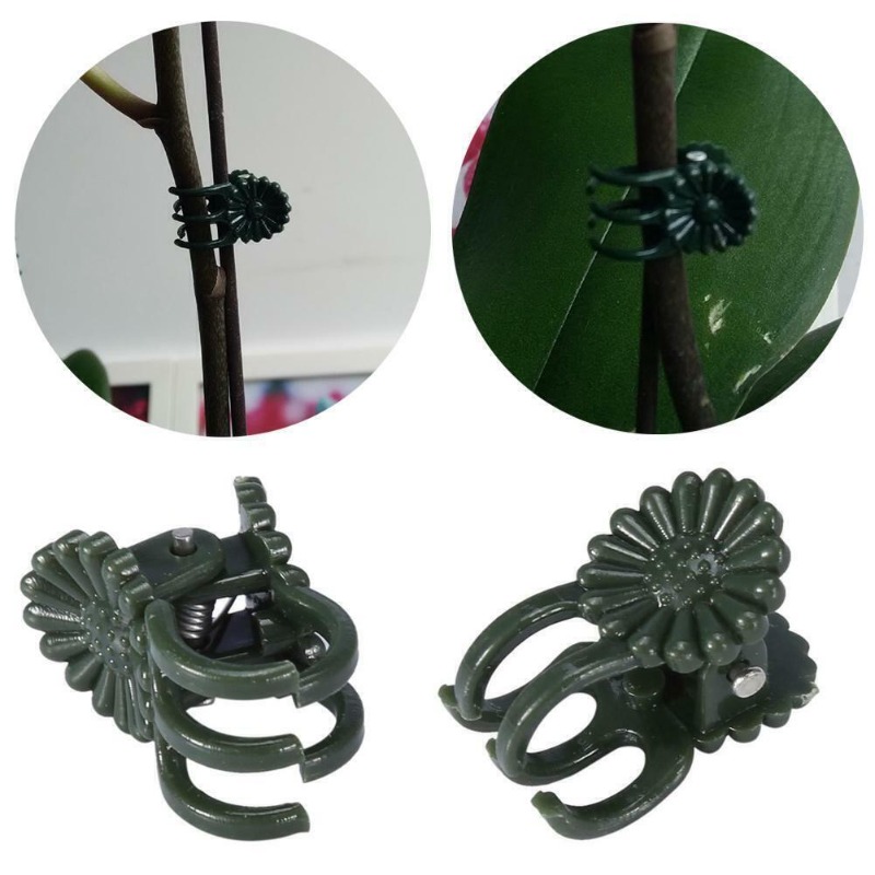 50 pinces de jardinage vert fo - Gardening Tools For Vines avis et prix
