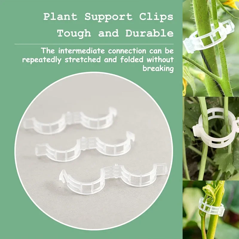 FiosphTool-Clips réutilisables - Gardening Tools For Vines avis et prix