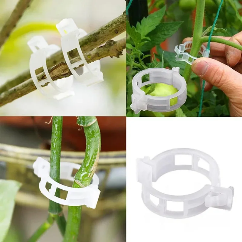 FiosphTool-Clips réutilisables - Gardening Tools For Vines avis et prix