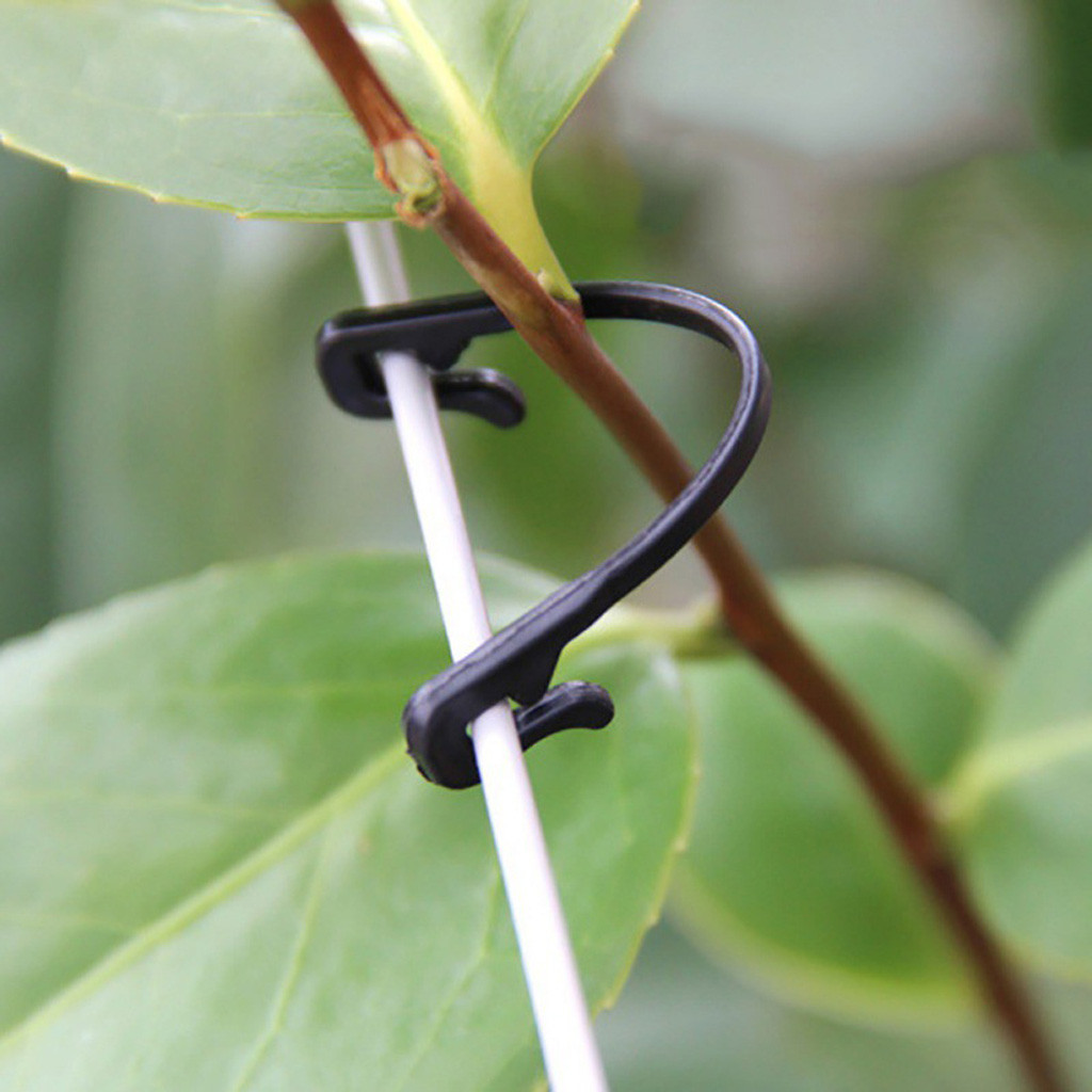 50-500 Pièces Clips de fixatio - Gardening Tools For Vines avis et prix