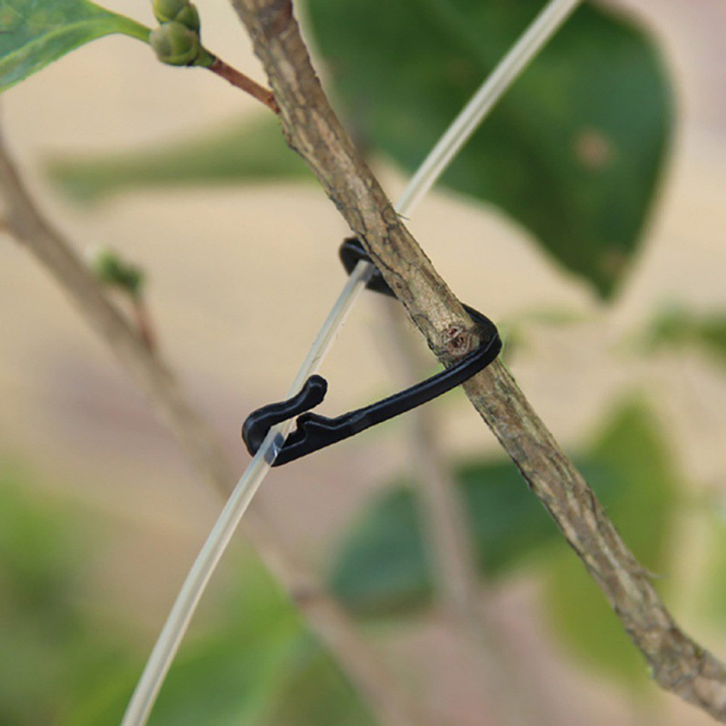 50-500 Pièces Clips de fixatio - Gardening Tools For Vines avis et prix