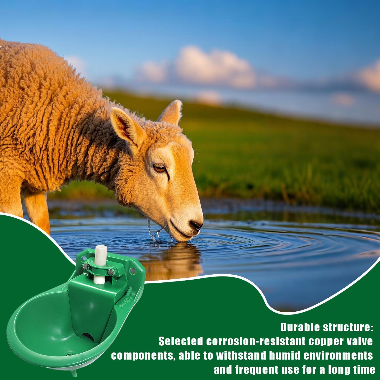 Abreuvoir pour chevaux avec va - Gardening Tools Women avis et prix