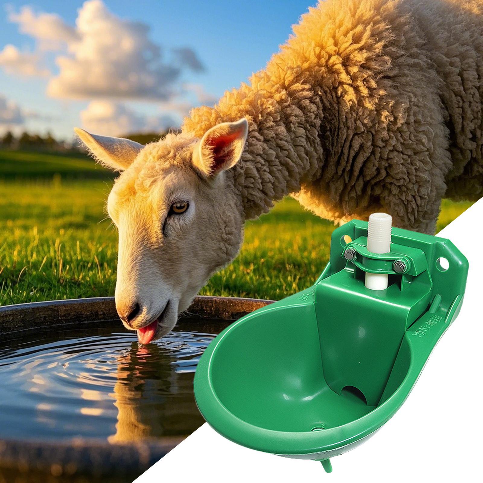 Abreuvoir pour chevaux avec va - Gardening Tools Women avis et prix