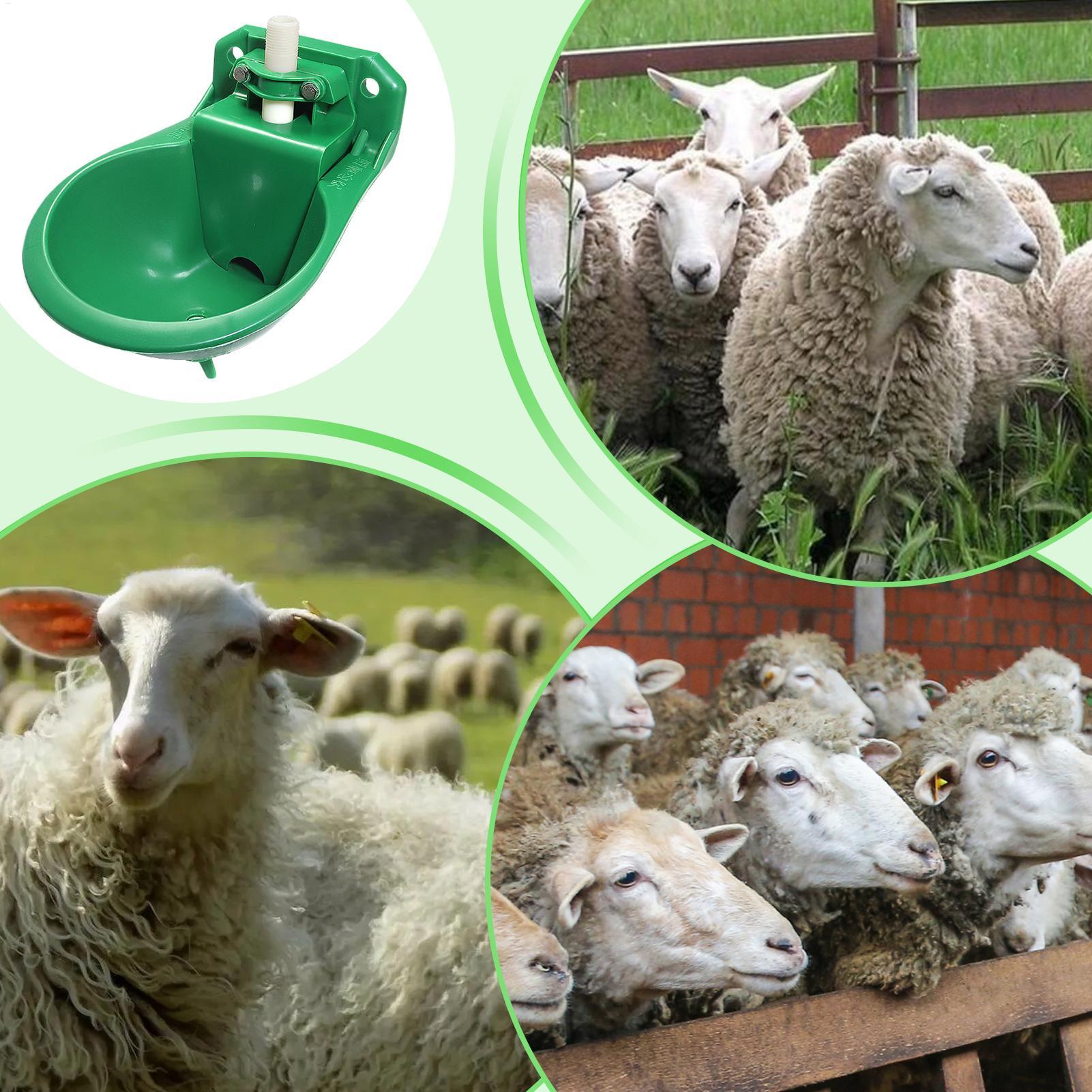 Abreuvoir pour chevaux avec va - Gardening Tools Women avis et prix