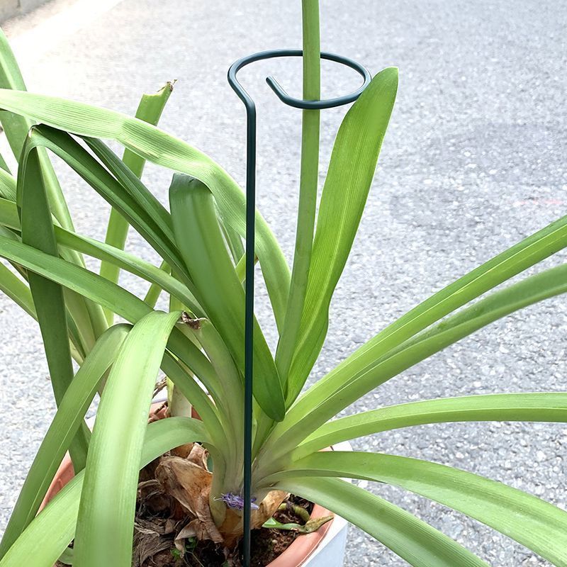 Support d'arbustes pour plante - Gardening Tools For Vines avis et prix
