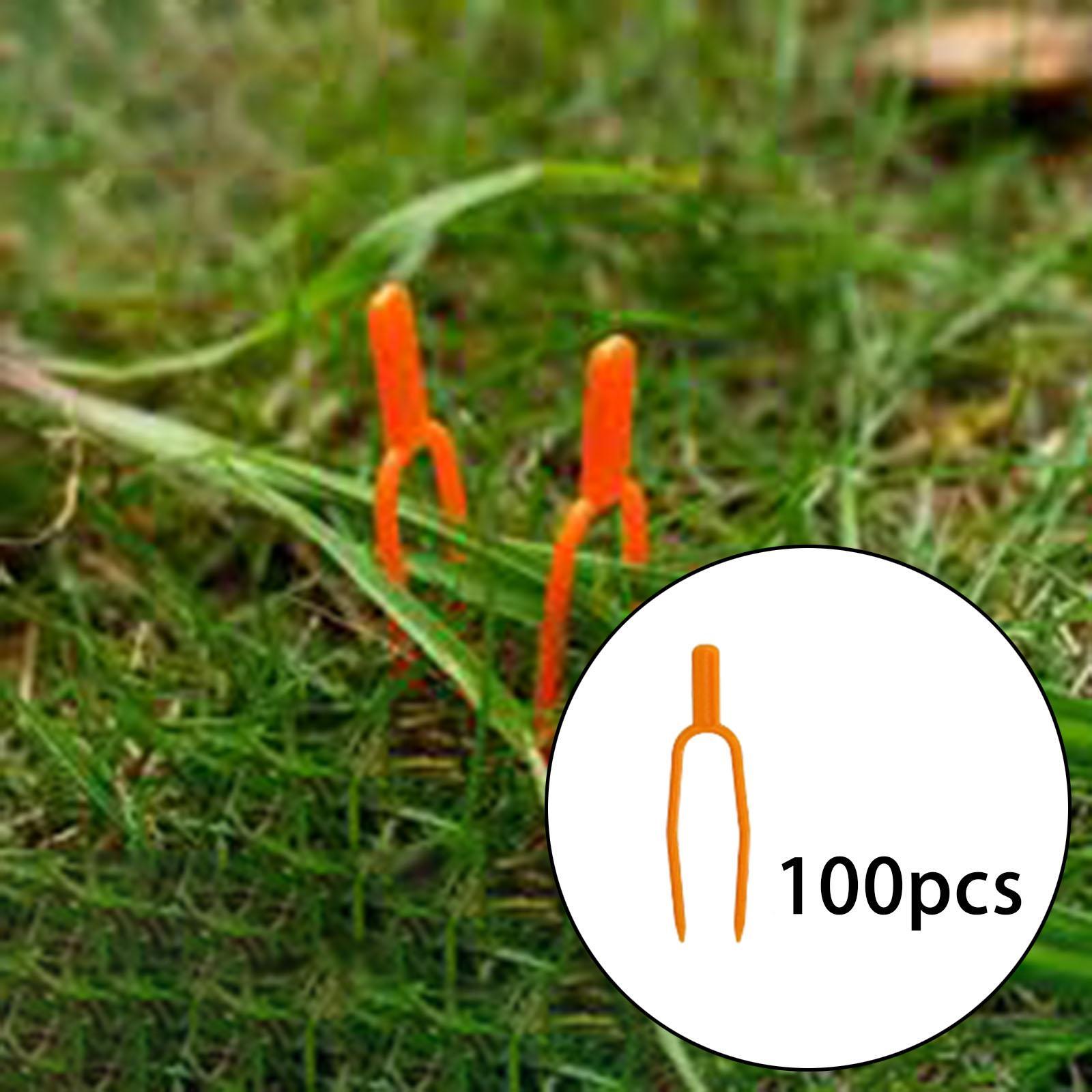 Clips de fixation pour tiges d - Gardening Tools For Vines avis et prix