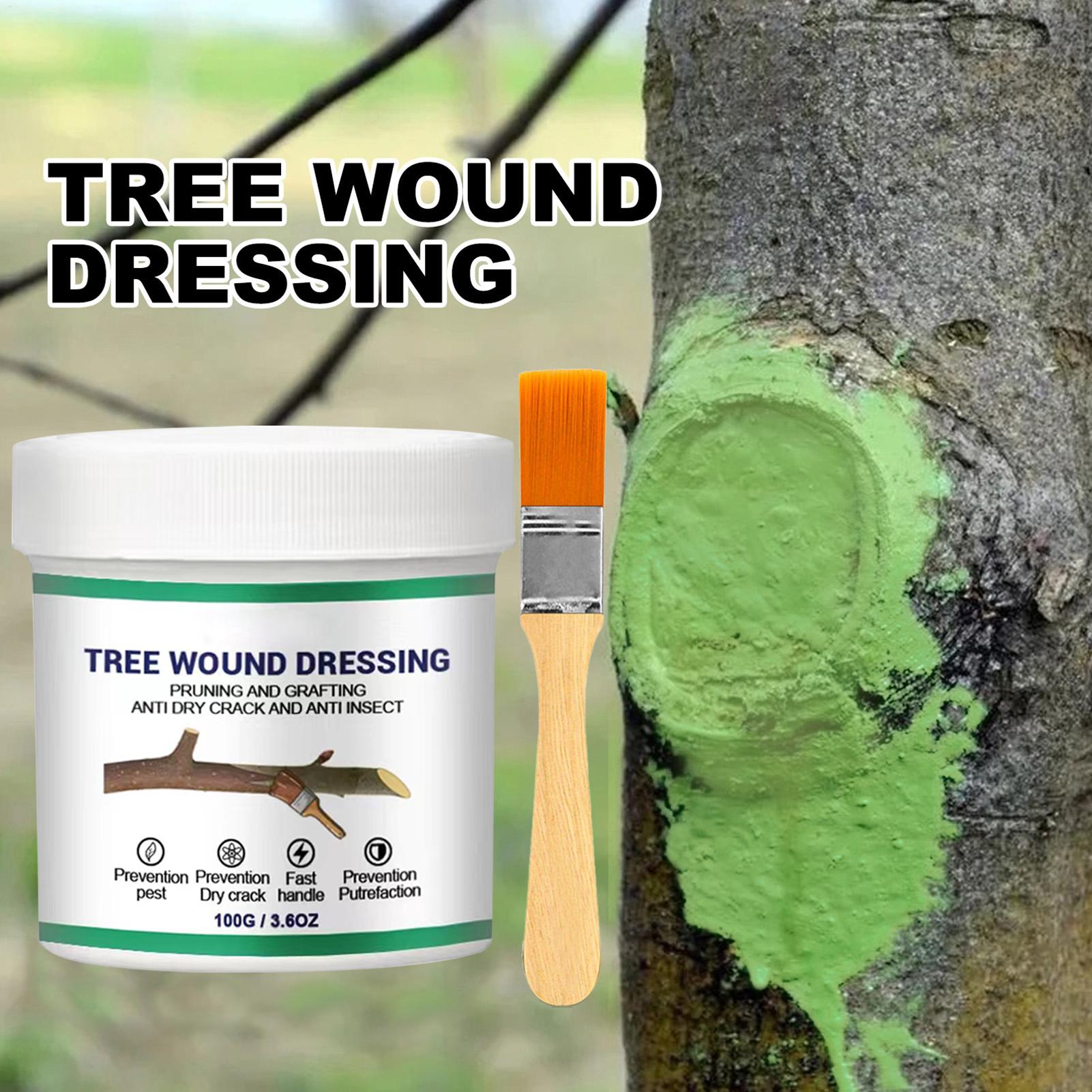 Pâte de greffage d'arbres, Pât - Gardening Tools Women avis et prix