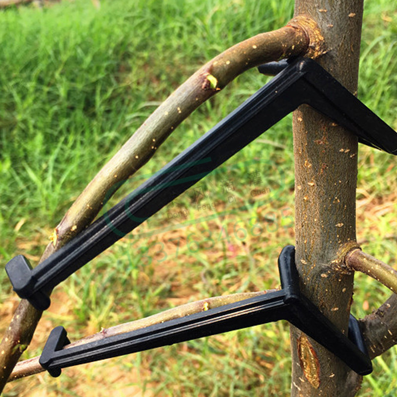 Clips pour arbres fruitiers, S - Gardening Tools For Vines avis et prix