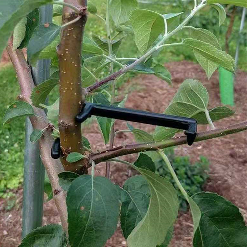 Clips pour arbres fruitiers, S - Gardening Tools For Vines avis et prix