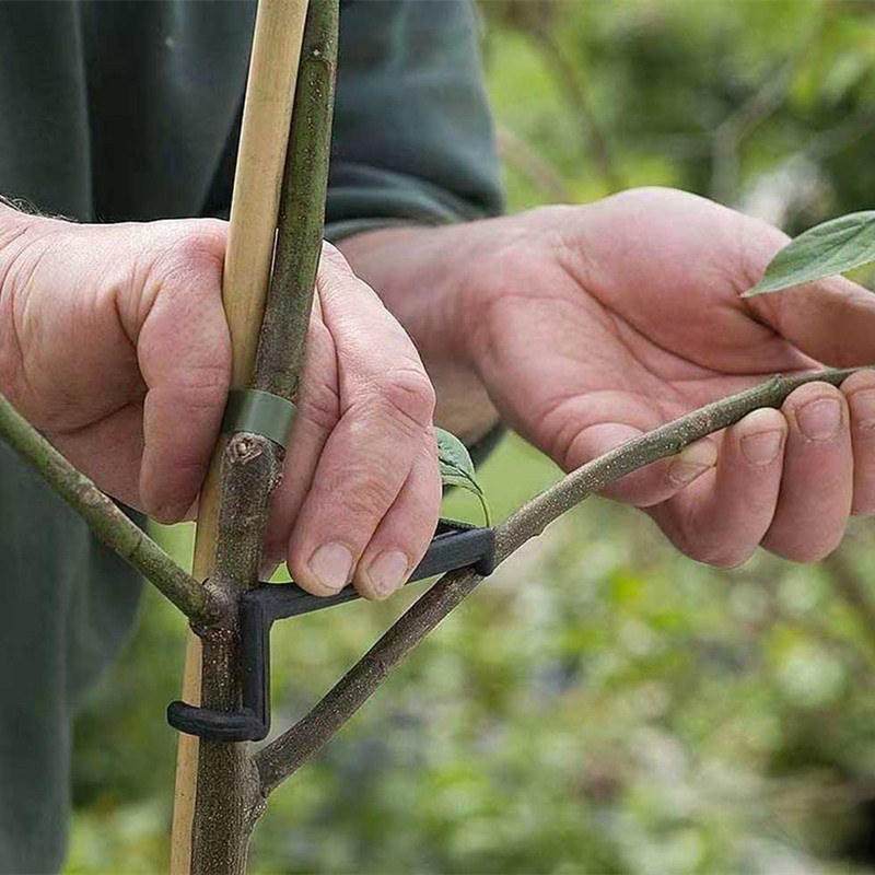 Clips pour arbres fruitiers, S - Gardening Tools For Vines avis et prix