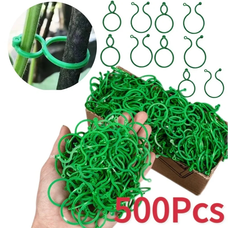 Attaches en plastique pour pla - Gardening Tools For Vines avis et prix