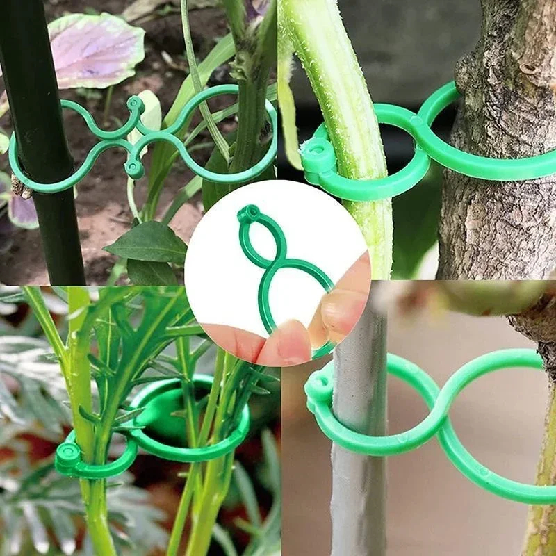 Attaches en plastique pour pla - Gardening Tools For Vines avis et prix