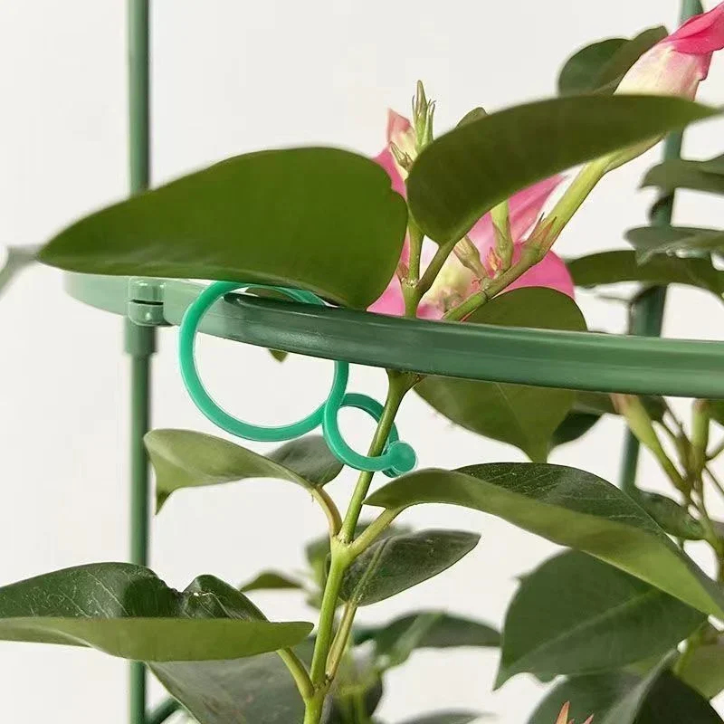 Attaches en plastique pour pla - Gardening Tools For Vines avis et prix