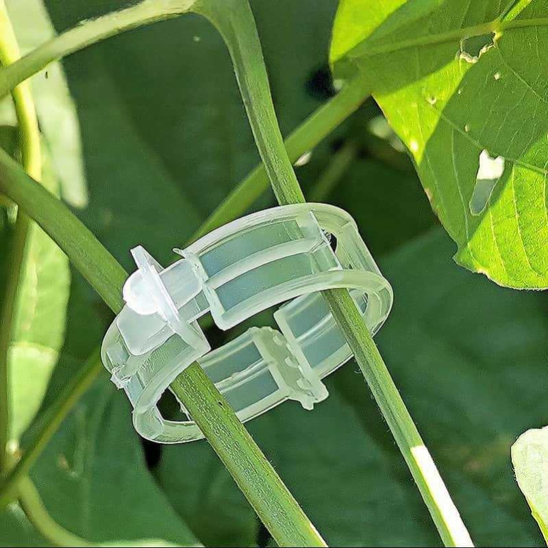 300/50 Pièces Clips de Soutien - Gardening Tools For Vines avis et prix