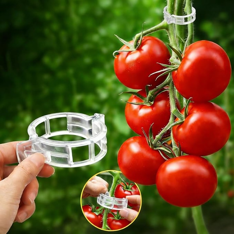 300/50 Pièces Clips de Soutien - Gardening Tools For Vines avis et prix
